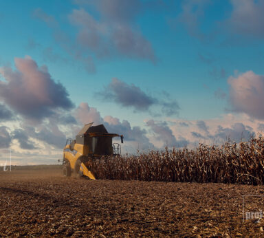 ilustracje albumu ZADZIM