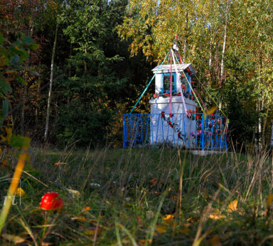 ilustracje albumu ZADZIM