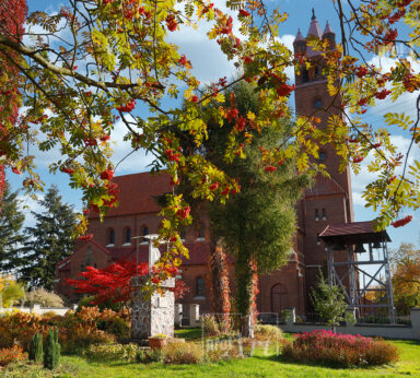 ilustracje albumu ZADZIM