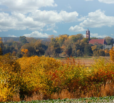 ilustracje albumu ZADZIM