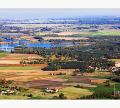 ilustracje albumu ZADZIM