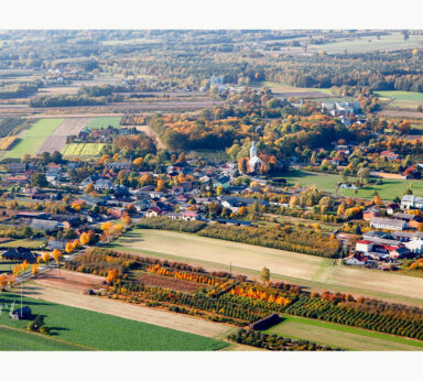 ilustracje albumu ZADZIM