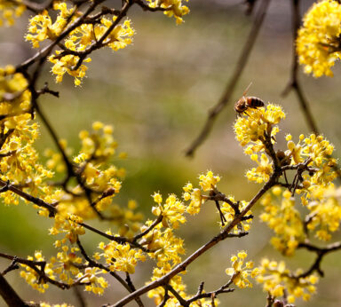 ilustracje albumu ZADZIM